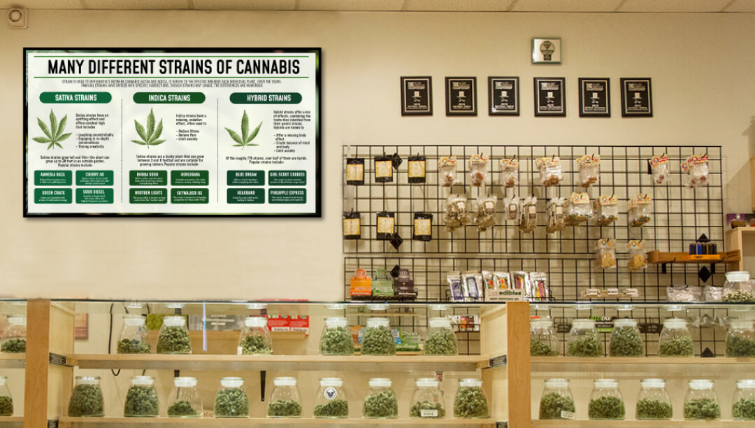 cannabis store weed menu template