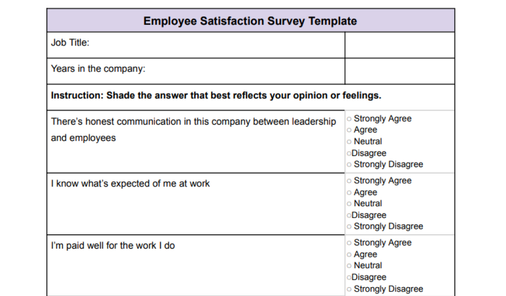 corporate internal survey template